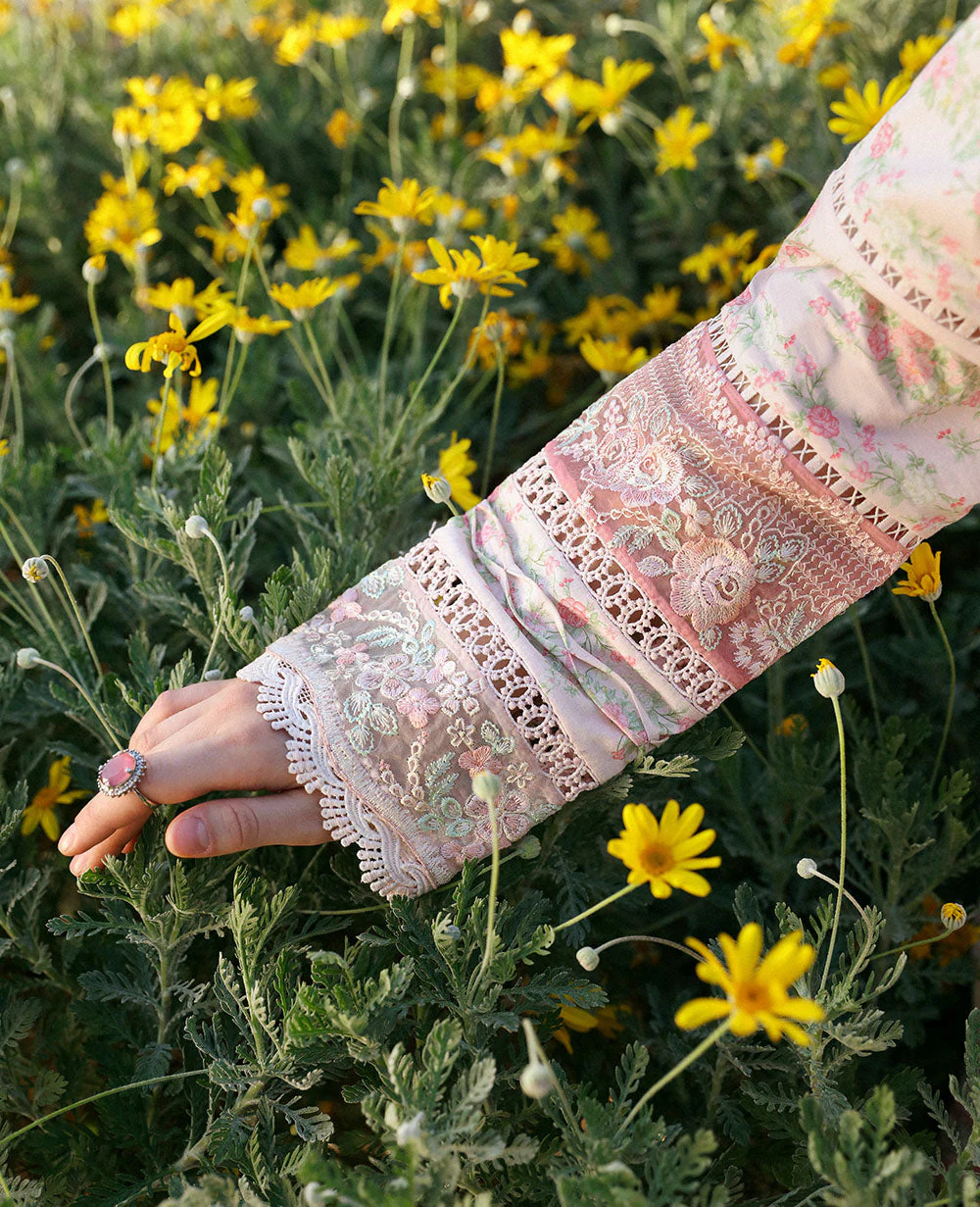 Rosa (D8-B) - Image 5