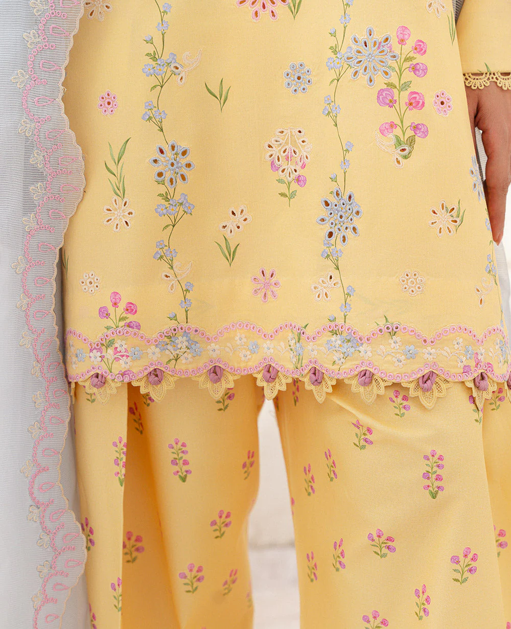 BP-199 - Image 5
