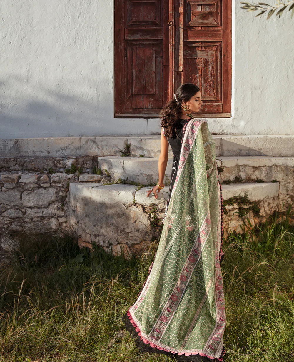 D10-A - Image 6