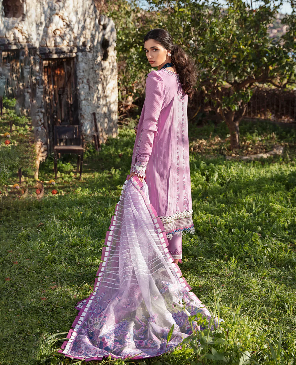 D8-B - Image 4