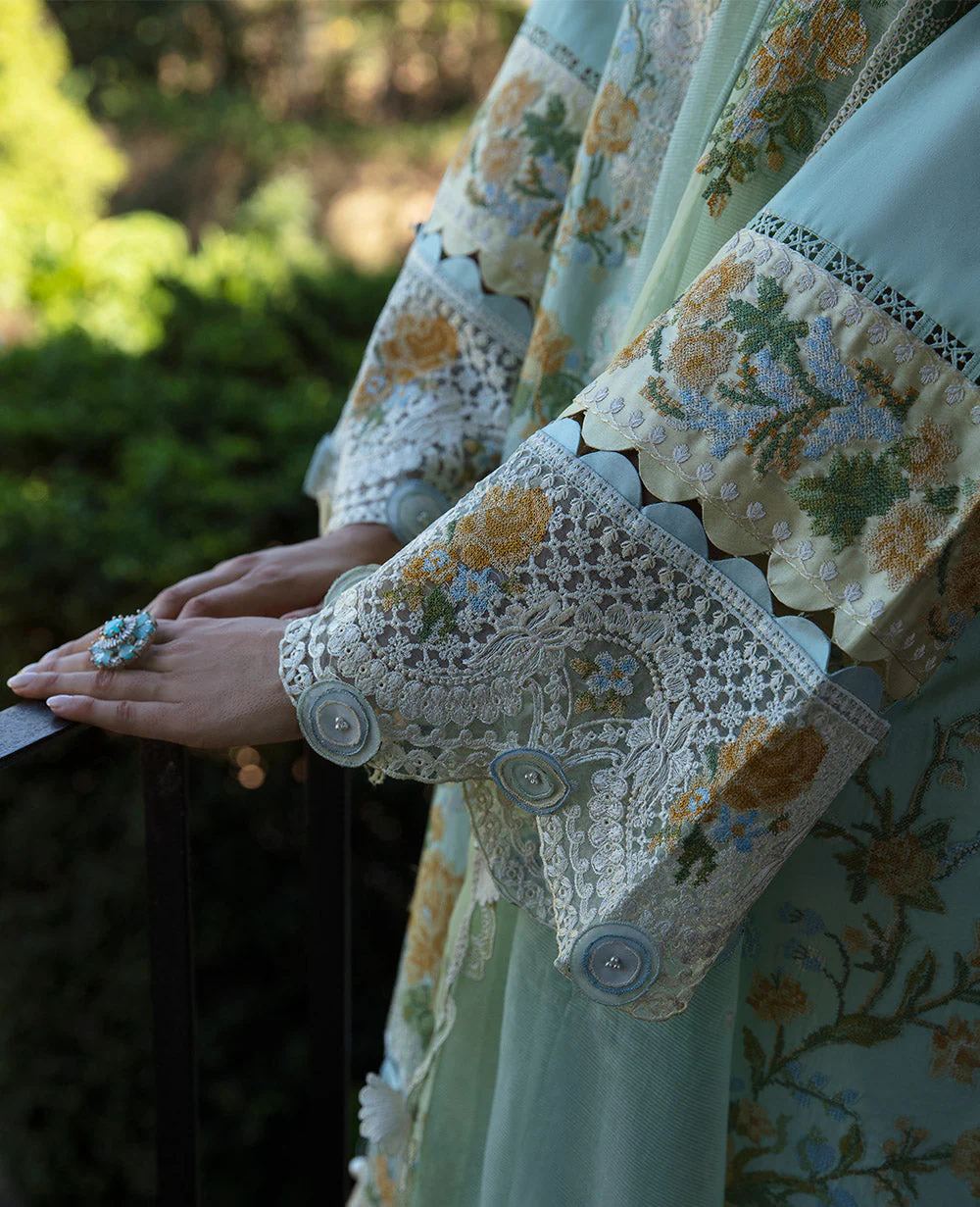 Elaine (D6-B) - Image 5