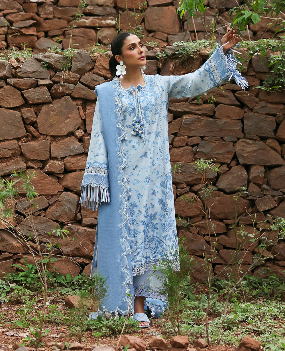 D2-B - Mireya - Image 3