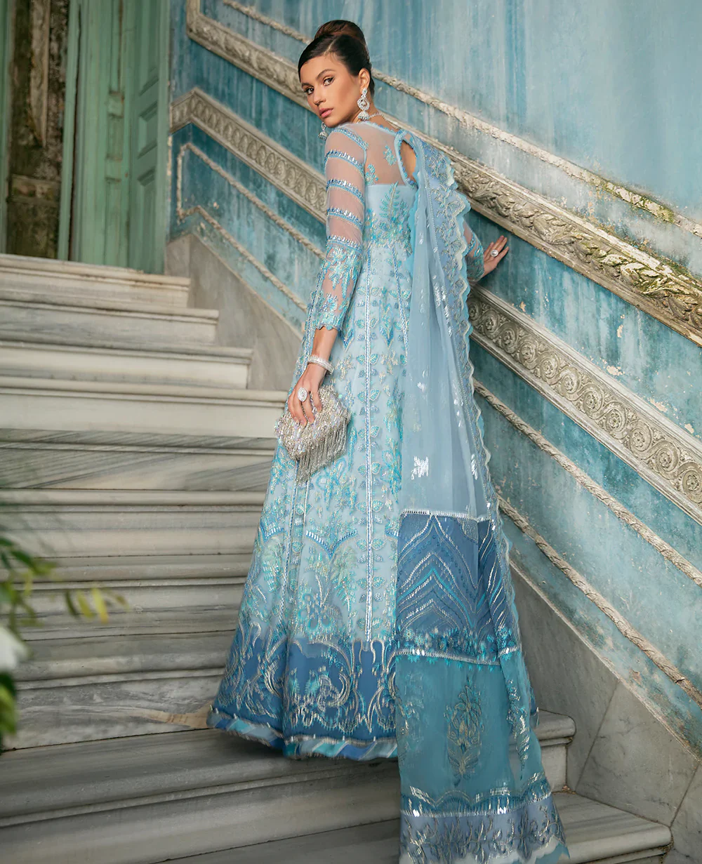 Gloire du Matin - Image 3