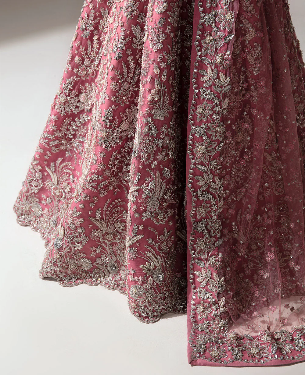 Zinnia ( WC-76 ) - Image 5